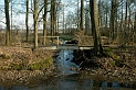 38-Dsc_1648 bruggetje